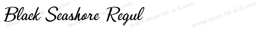Black Seashore Regul字体转换
